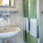 Zibi I Pod Topolami