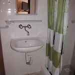 Zibi I Pod Topolami *