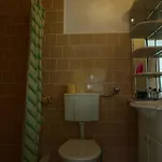 Zibi I Pod Topolami Проживание в семье *