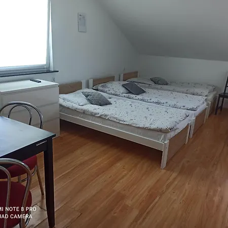 Zibi I Pod Topolami