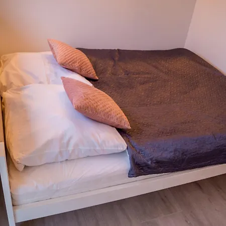 Zibi I Pod Topolami *