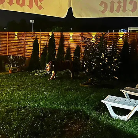 Zibi I Pod Topolami Łazy