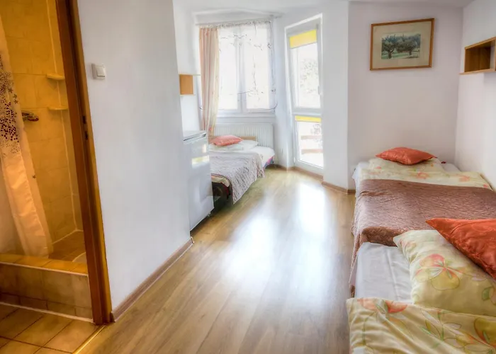 Проживание в семье Zibi I Pod Topolami Лазы