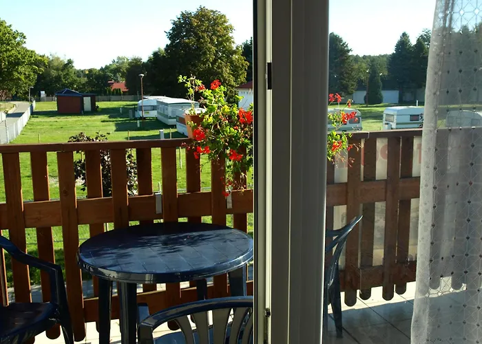 Zibi I Pod Topolami *