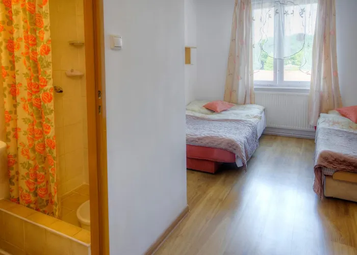 Zibi I Pod Topolami Лазы