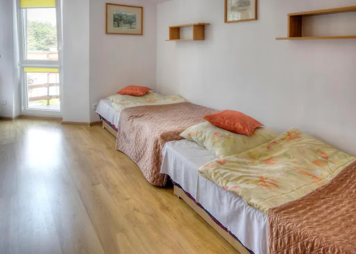 Zibi I Pod Topolami * Лазы