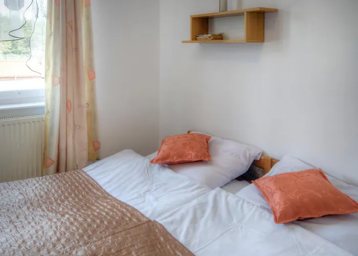 Zibi I Pod Topolami *