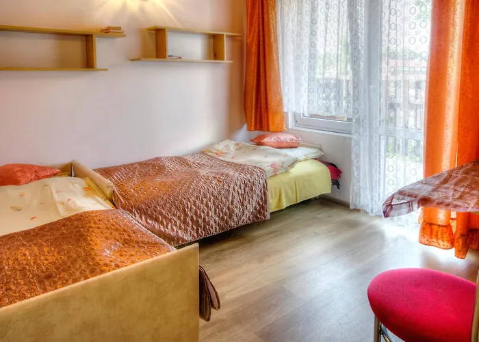 Zibi I Pod Topolami * Лазы