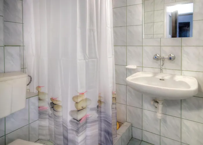 Проживание в семье Zibi I Pod Topolami Лазы