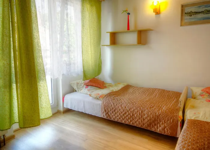 Zibi I Pod Topolami *