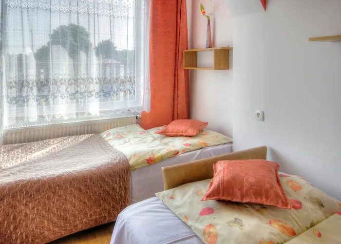 Zibi I Pod Topolami Проживание в семье *