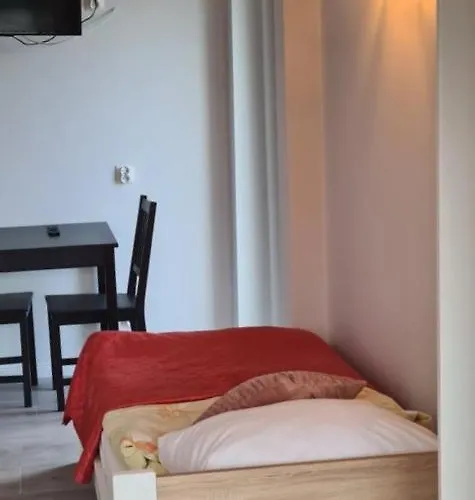 Проживание в семье Zibi I Pod Topolami Лазы