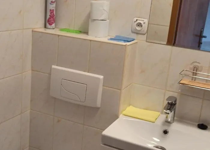 Zibi I Pod Topolami Проживание в семье *