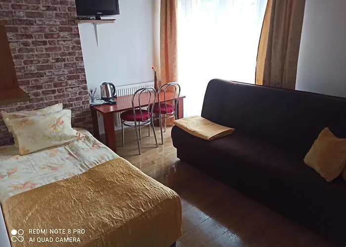 Проживание в семье Zibi I Pod Topolami Лазы