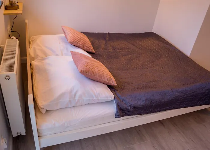 Zibi I Pod Topolami *