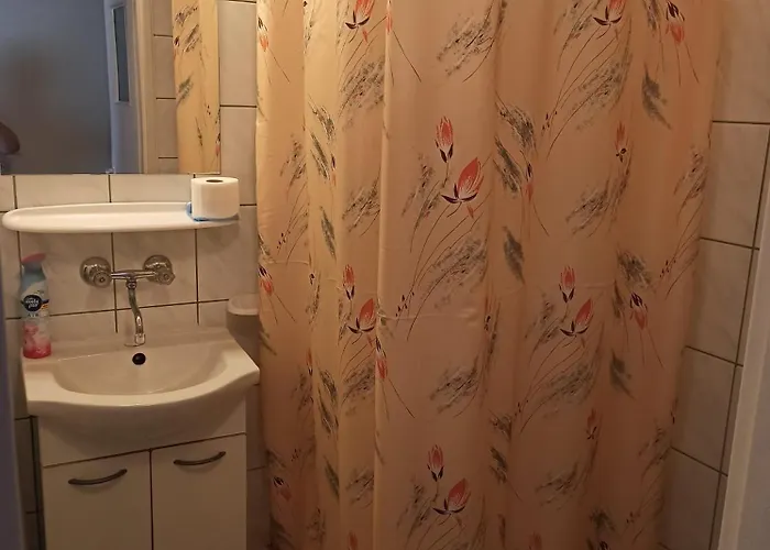 Zibi I Pod Topolami * Лазы