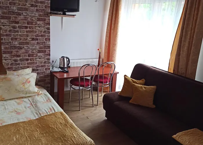 Проживание в семье Zibi I Pod Topolami *