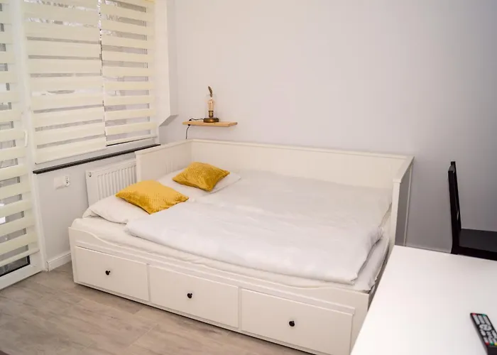 Zibi I Pod Topolami * Лазы