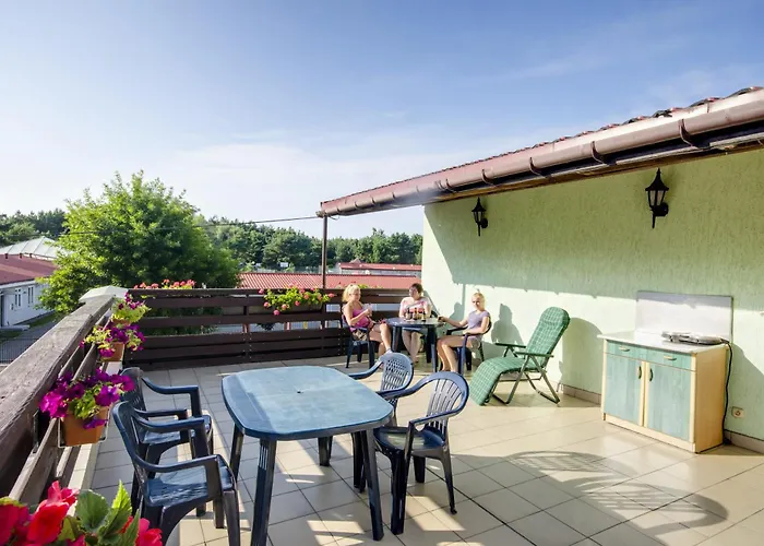 Zibi I Pod Topolami Проживание в семье