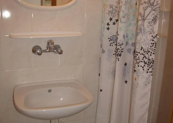 Zibi I Pod Topolami Проживание в семье *