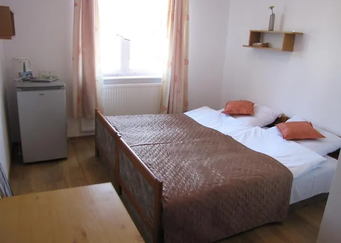 Проживание в семье Zibi I Pod Topolami *