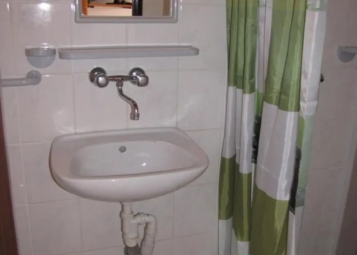 Zibi I Pod Topolami *