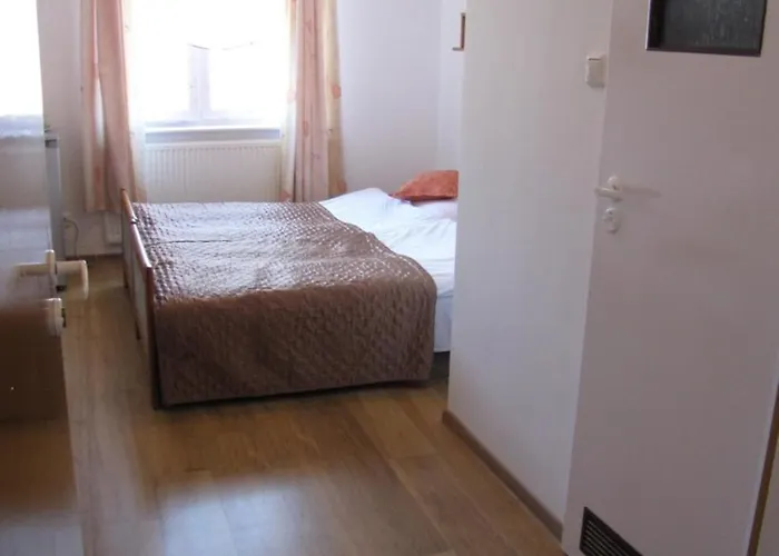 Zibi I Pod Topolami * Лазы