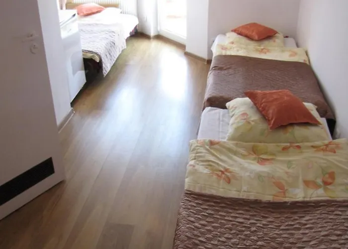 Проживание в семье Zibi I Pod Topolami *