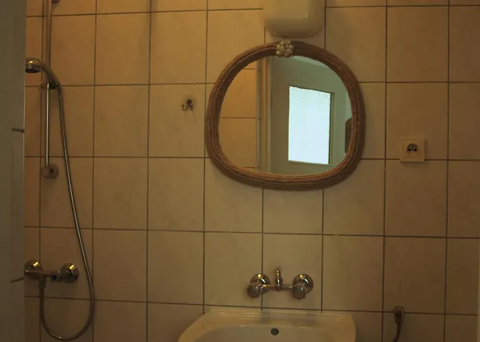 Zibi I Pod Topolami *