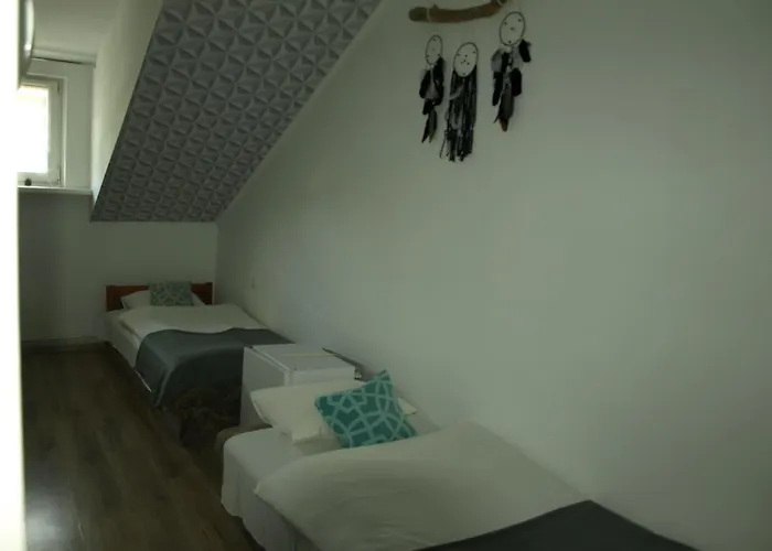 Zibi I Pod Topolami Лазы