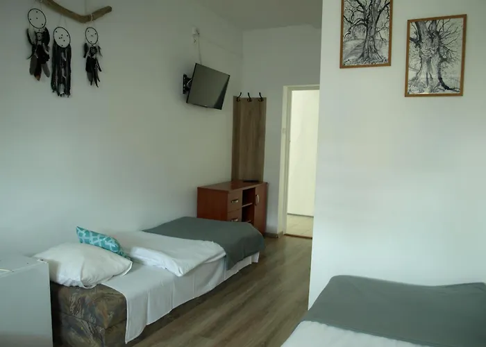 Zibi I Pod Topolami * Лазы