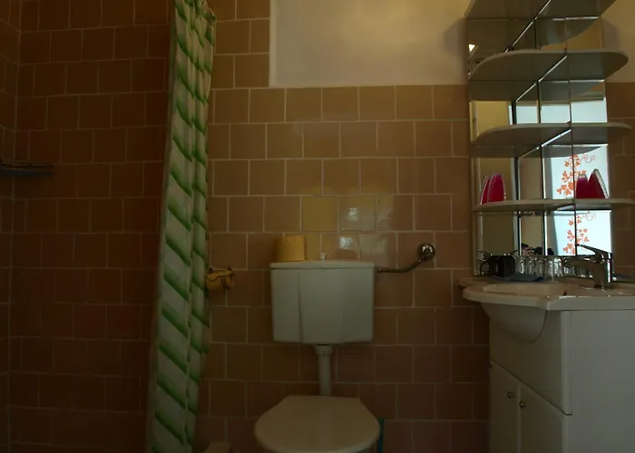 Zibi I Pod Topolami Проживание в семье *